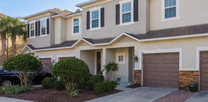 806 Merlot Court, Oldsmar
