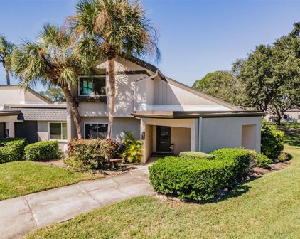 2625 Barksdale Court, Clearwater
