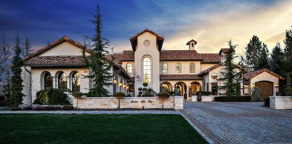 1454 S Heron Pointe Ln, Eagle