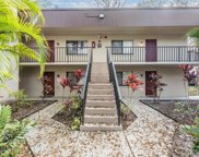 11715 Raintree Village Boulevard Unit C, Temple Terrace image