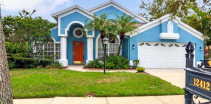 12412 Bristol Commons Circle, Tampa