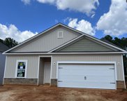 122 Irish Setter  (Lot 4) Street, Chapin image