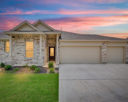 1133 Cropout  Way, Fort Worth