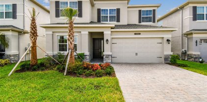 3033 Hollow Hickory Place, Wesley Chapel