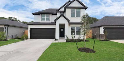 1314 Ricasoli Drive, Richmond