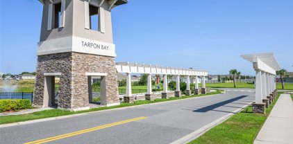 238 Tarpon Bay Boulevard, Haines City
