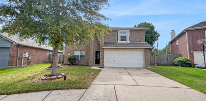 2868 Shallow Brook Lane, Dickinson