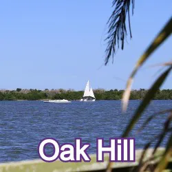 Oak Hill Florida Homes for Sale