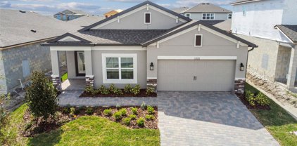 32020 Sapna Chime Drive, Wesley Chapel