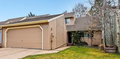 1109 Indian Summer Ct, Fort Collins