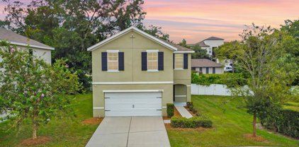 10224 Hawk Storm Avenue, Tampa