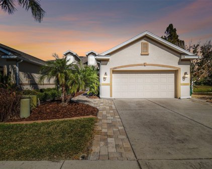 2263 Parrot Fish Drive, Holiday