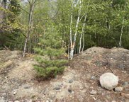 Birchwood Lane, Canaan image