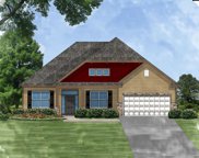 416 Lombard Way, Chapin image