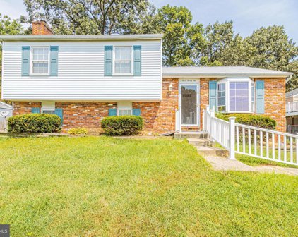332 Silky Oak Ct, Linthicum Heights