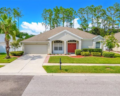 20727 Riverforest Drive, Land O' Lakes