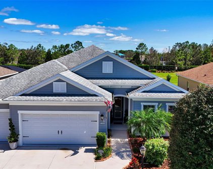 1204 Thornbury Drive, Parrish