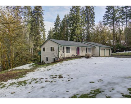 34302 NE SHAMROCK SLOPE RD, Battle Ground