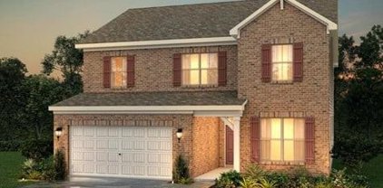 2481 River Cane Way (Lot 231), Buford