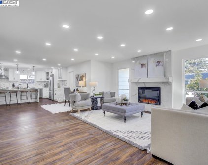 1185 Mustang Dr, Danville