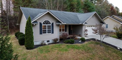 152 S Briarcreek S Court, Hendersonville