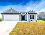 341 Kotata Avenue, Bunnlevel image