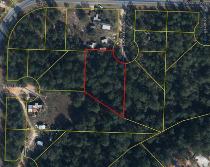 TBD Lucky Leaf Lane, Defuniak Springs