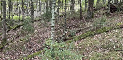 8.95 Acres TOWNLINE ROAD, Wisconsin Rapids