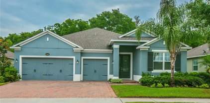31920 Geoff Way, Sorrento