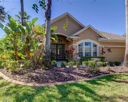 10448 Greendale Drive, Tampa