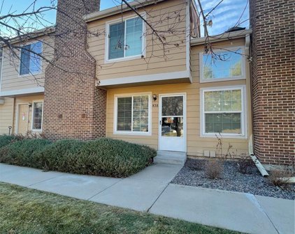 838 Summer Drive Unit 3-C, Highlands Ranch