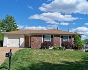 4828 Danebury  Drive, St Louis image