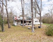 23460 Hwy 321, Cleveland image