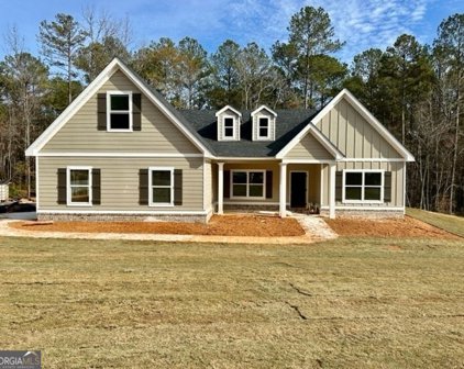 20 Sagebrook Lane, Newnan