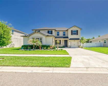 12211 Streambed Drive, Riverview