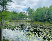 10130 Yellow Frog Avenue, Weeki Wachee image