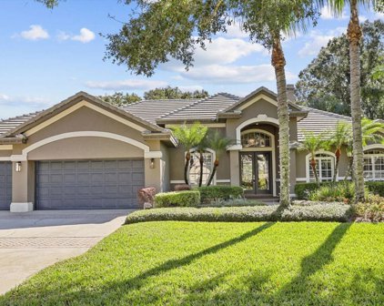 19809 Wellington Manor Boulevard, Lutz