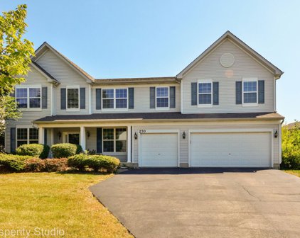 270 Hanburg Lane, Bolingbrook