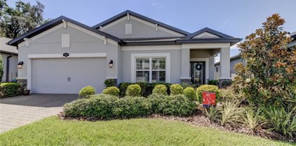 19310 Leonard Road, Lutz