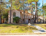610 Enchanted Trail Drive, Spring image