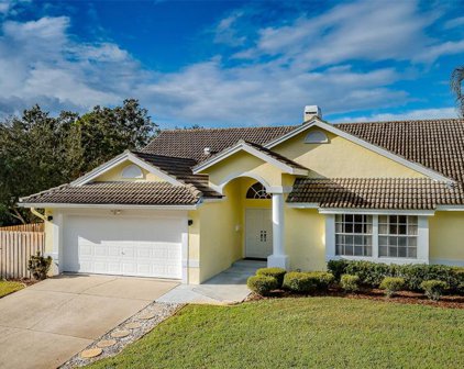 721 Live Oak Avenue Ne, St Petersburg