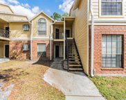 8722 Mallard Reserve Drive Unit 205, Tampa image