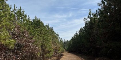 Tract 1 Grant 28, Grapevine