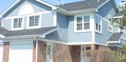 202 W Happfield, Arlington Heights