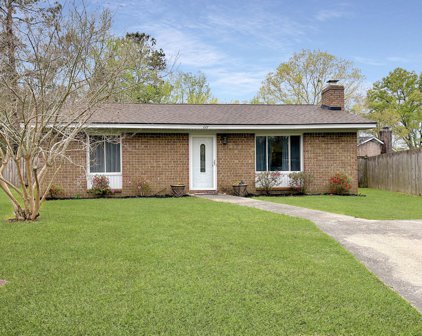 111 Briarwood Circle Circle, Goose Creek