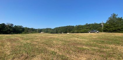 1000 Mount Moriah Road Unit Tract 1  - 1.38 Ares, Pell City