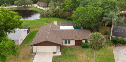 660 Sweetbriar Drive, Oldsmar