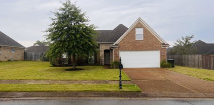 4164 Wildberry Drive, Southaven