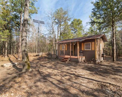 26.32 Acres Aster Road, Gilmer