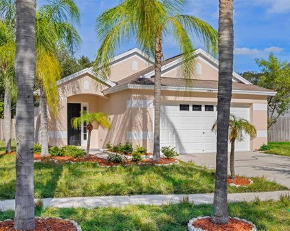 10611 Lakeside Vista Drive, Riverview